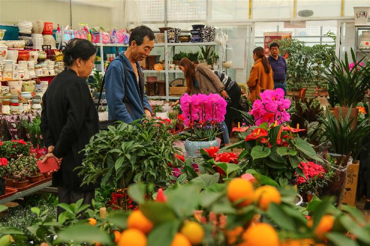 【第一眼】春意濃 花俏俏 你家的春來來了嗎？