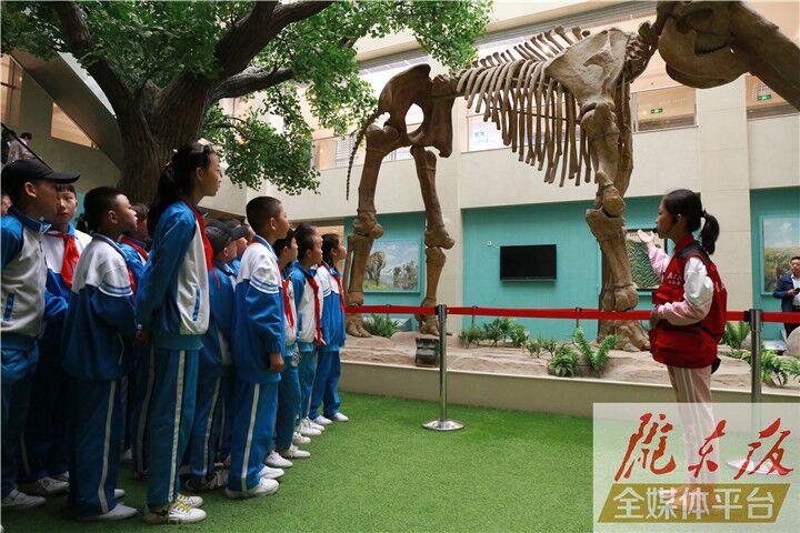 【第一眼】慶陽(yáng)市博物館開(kāi)展多項(xiàng)活動(dòng)慶?！?·18國(guó)際博物館日”