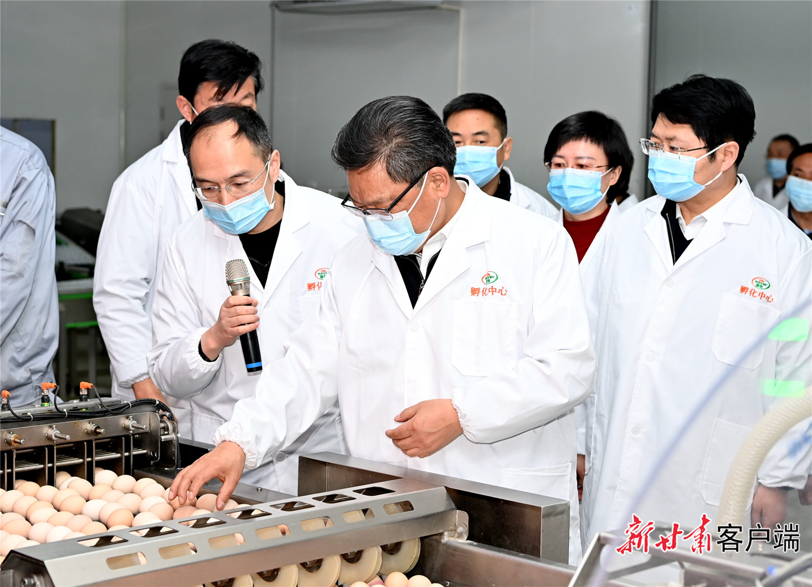 任振鶴在慶陽調(diào)研時強調(diào)：用新思想指引新征程，以新發(fā)展書寫新答卷，真抓實干推動新時代革命老區(qū)振興發(fā)展