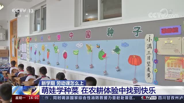 新學(xué)期，勞動(dòng)課怎么上？央視《新聞直播間》關(guān)注北師大慶陽附校農(nóng)耕體驗(yàn)課