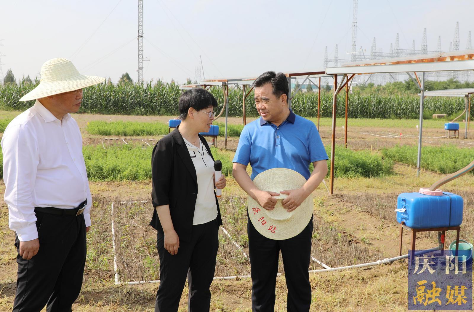 黃澤元在蘭州大學慶陽草地農(nóng)業(yè)試驗站和市農(nóng)科院調(diào)研時強調(diào) 切實提升科技成果轉(zhuǎn)化率促進農(nóng)民增收 加快發(fā)展農(nóng)業(yè)新質(zhì)生產(chǎn)力推動農(nóng)業(yè)增效