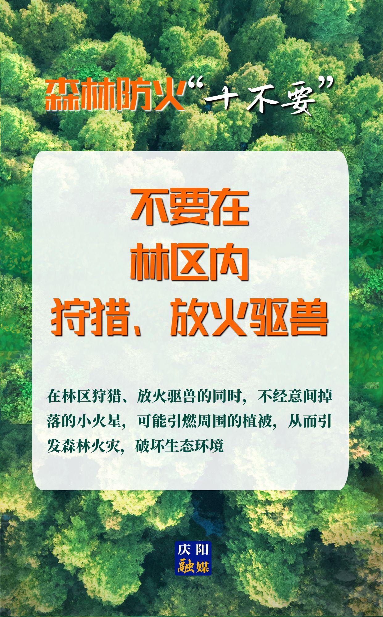 【微海報(bào)】森林防火“十不要”⑨丨不要在林區(qū)內(nèi)狩獵、放火驅(qū)獸
