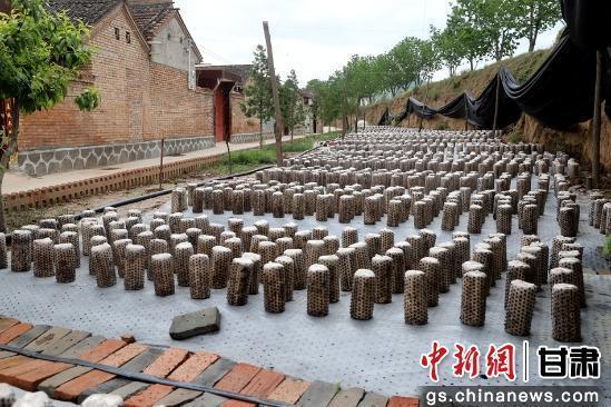 清水小菌菇大“蘑”力 村民家門(mén)口端穩(wěn)“就業(yè)碗”