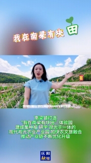 南梁鎮(zhèn)打造“我在南梁有塊田”體驗園，建成集種植、研學(xué)、觀光于一體的現(xiàn)代觀光農(nóng)業(yè)產(chǎn)業(yè)園，加快農(nóng)文旅融合，推動產(chǎn)業(yè)鏈不斷優(yōu)化升級