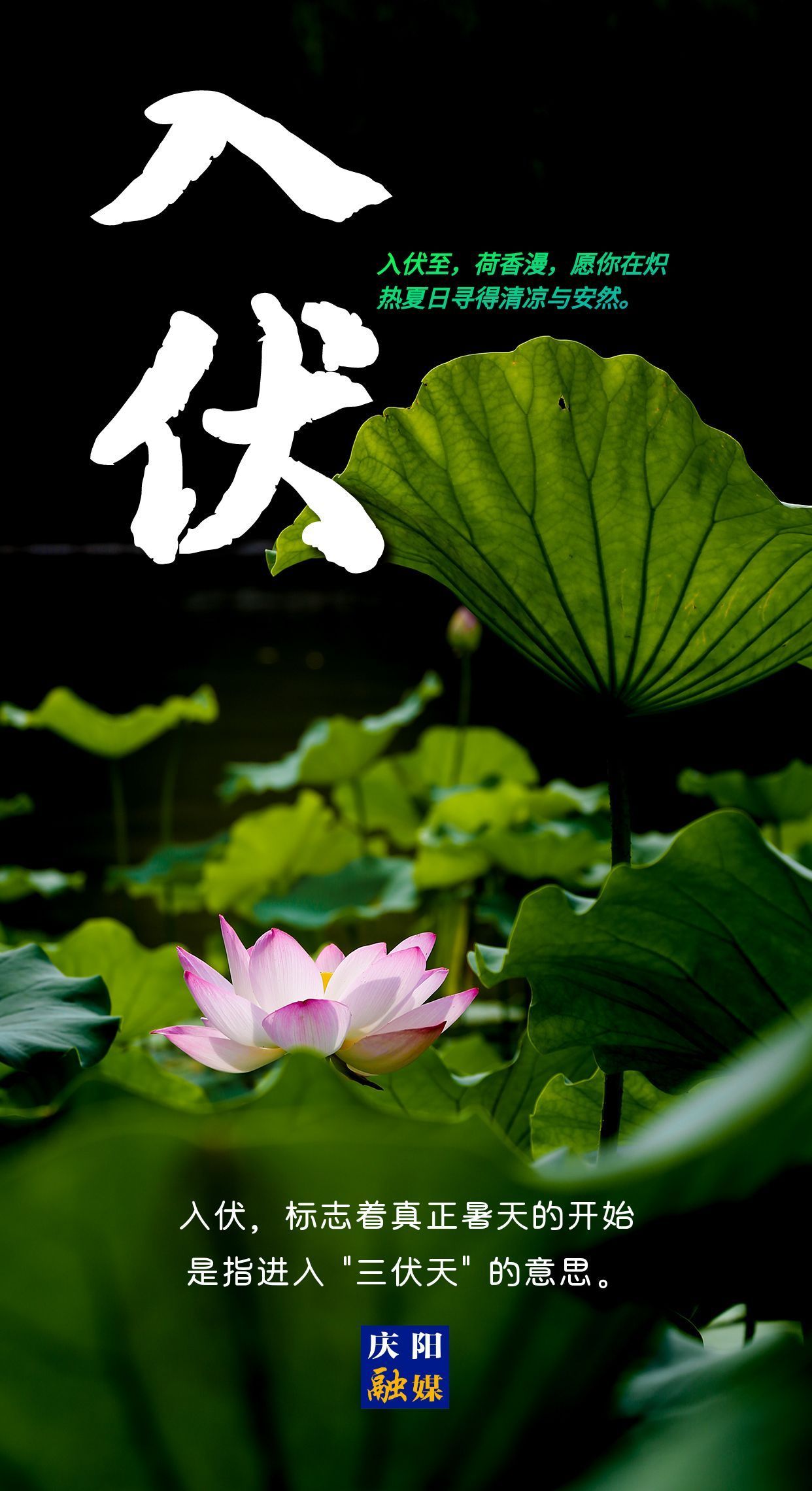 【微海報】今日入伏丨愿你安然度夏！