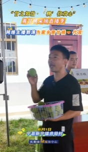 “甘之如飴‘桃’你歡心”黃甘桃采摘直播季｜網(wǎng)絡(luò)主播郭濤為家鄉(xiāng)黃甘桃代言，歡迎大家來(lái)寧縣采摘黃甘桃