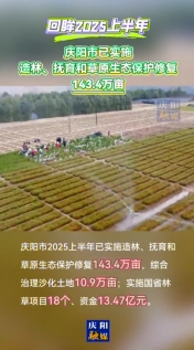 【回眸2025上半年】慶陽市上半年已實施造林、撫育和草原生態(tài)保護修復(fù)143.4萬畝