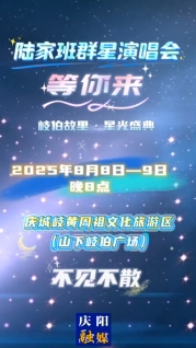 8月8日至9日每晚8點，陸家班群星演唱會等您來！