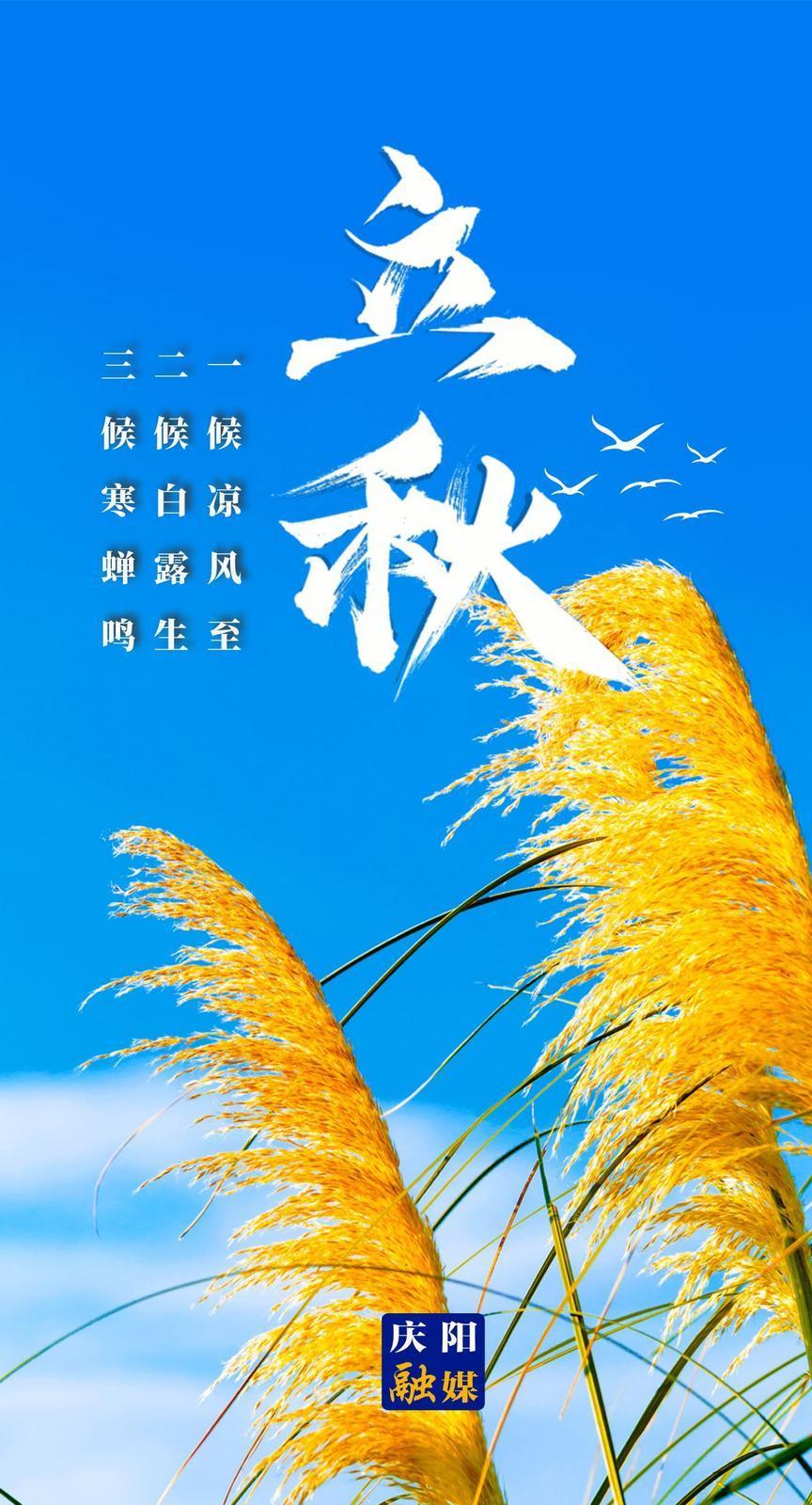【微海報】立秋：秋者陰氣始下，故萬物收！