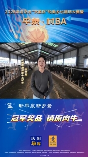 “籃”動(dòng)平泉新鄉(xiāng)景｜大揭秘！“平泉·村BA”冠軍獎(jiǎng)品來啦！鎮(zhèn)原肉牛你確定能牽回家嗎