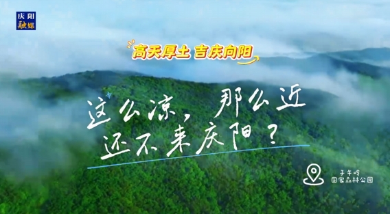 這么涼，那么近，還不來慶陽 ？——“天然氧吧”子午嶺國家森林公園歡迎您來！